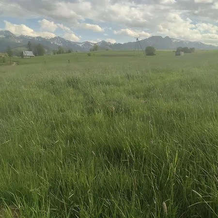 Daire Olczanski Checz Zakopane