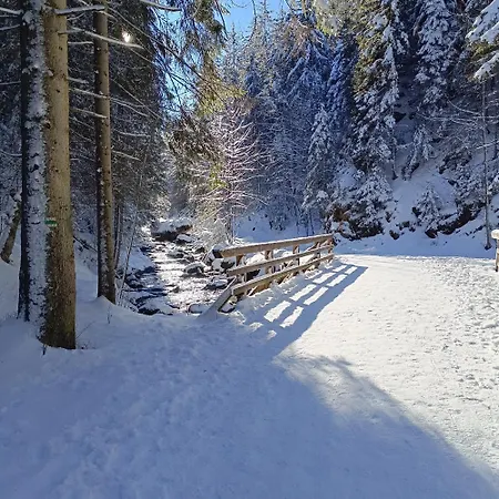 Daire Olczanski Checz Zakopane