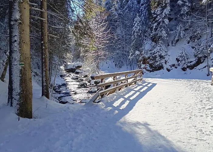 Lejlighed Olczanski Checz Zakopane